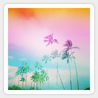 Pretty Palm Tree Skies Sticker